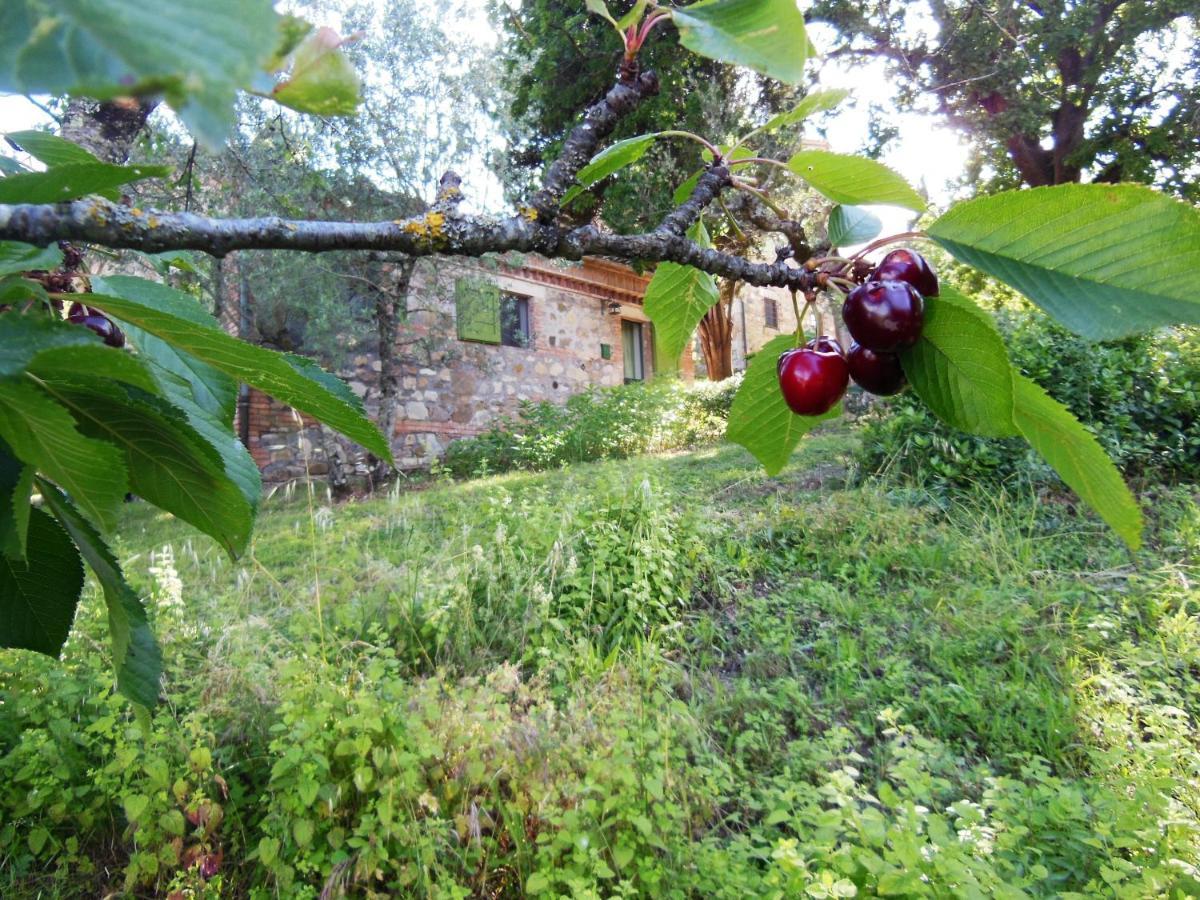 La Fontaiola Villa Le Piazze Bagian luar foto