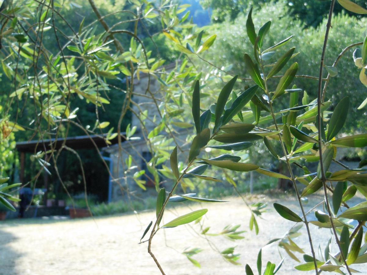 La Fontaiola Villa Le Piazze Bagian luar foto