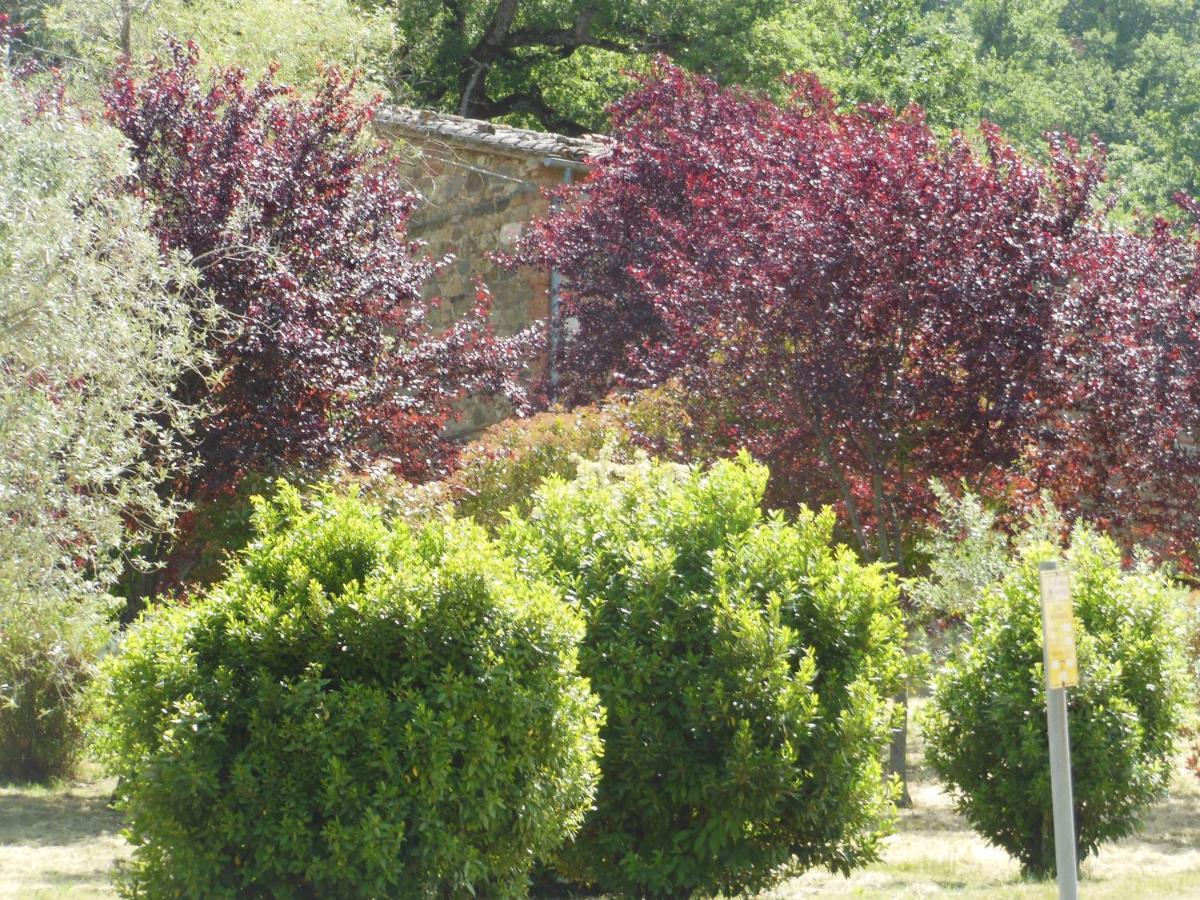 La Fontaiola Villa Le Piazze Bagian luar foto
