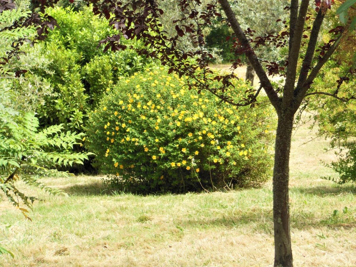 La Fontaiola Villa Le Piazze Bagian luar foto